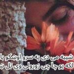 pashto poetry text png